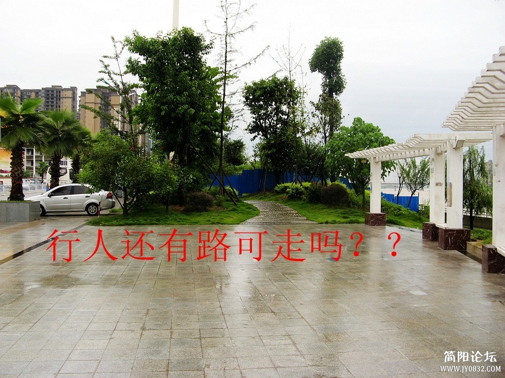 IMG_5206.JPG