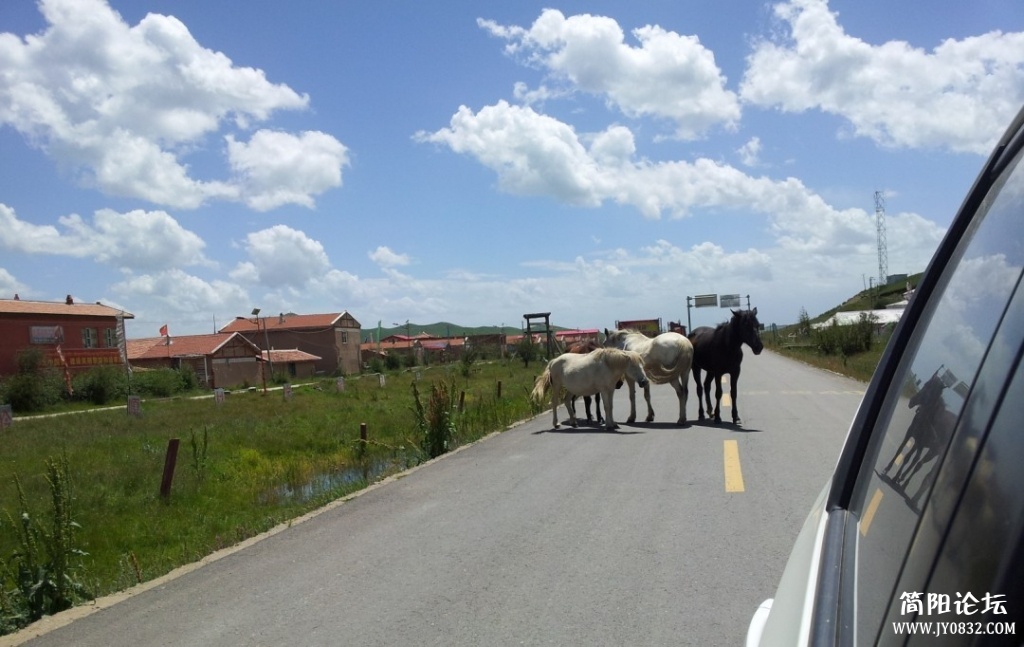 QQ图片20130811171355.jpg