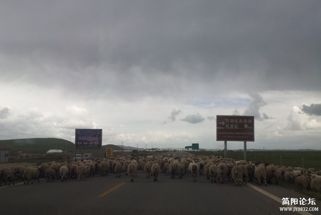 QQ图片20130811181754.jpg