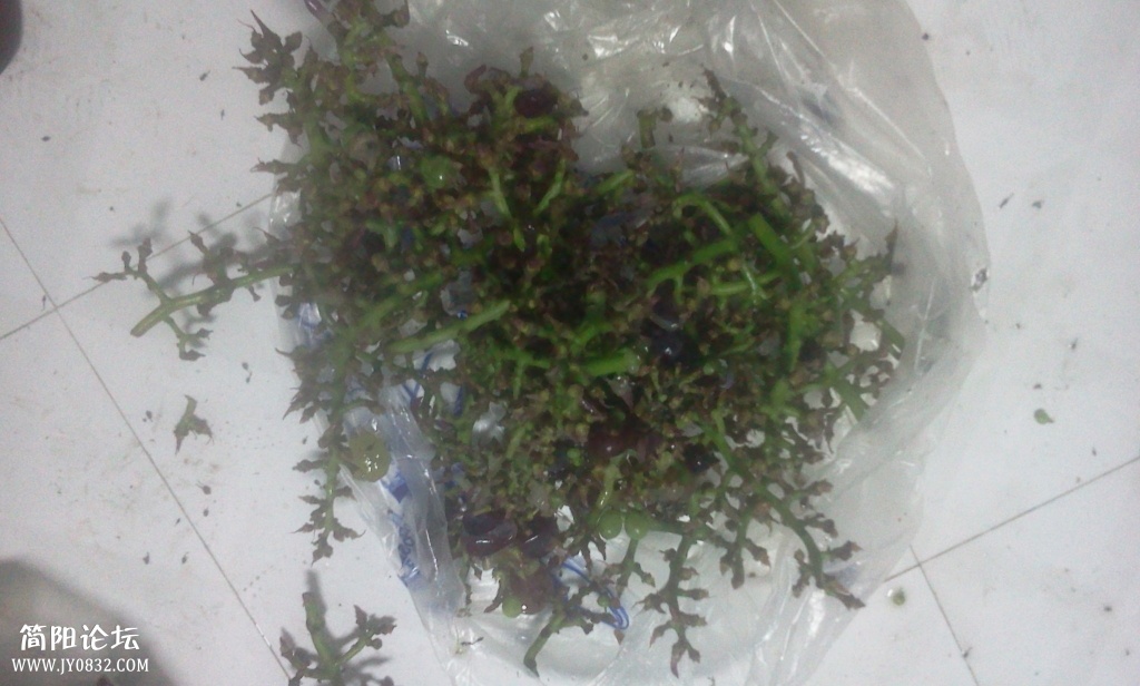2013-08-12 19.41.48.jpg