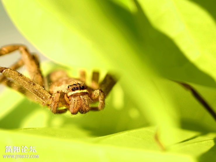 DSC_8116.jpg