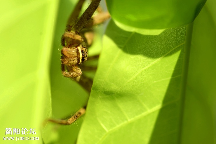 DSC_8118.jpg