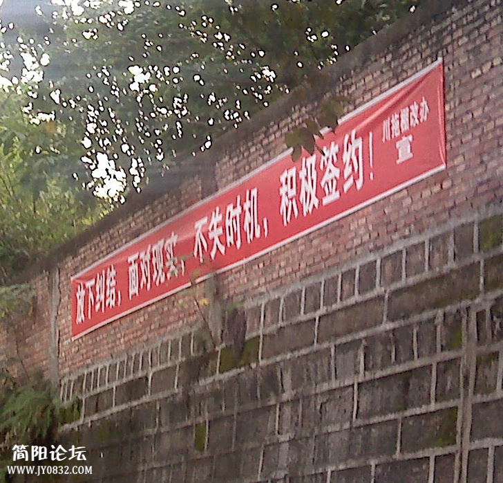 P21-08-13_07.46.jpg