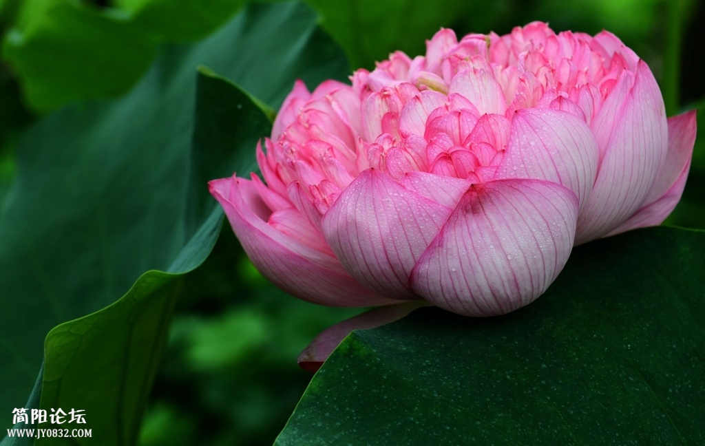 照片 024.jpg