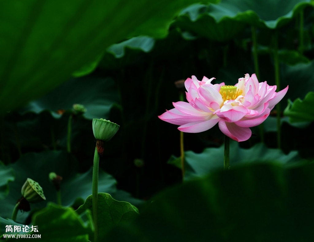 照片 023.jpg