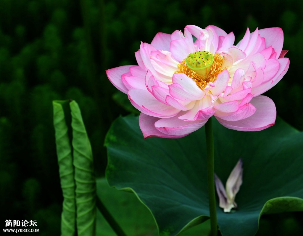 照片 026.jpg