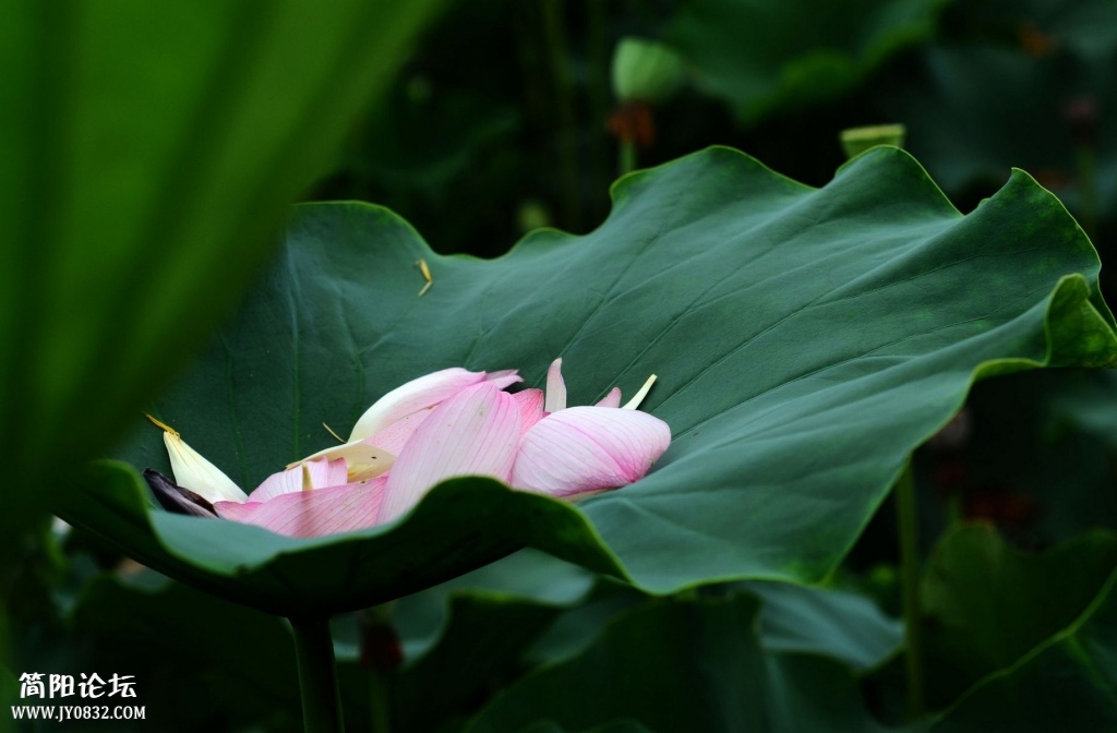 照片 028.jpg
