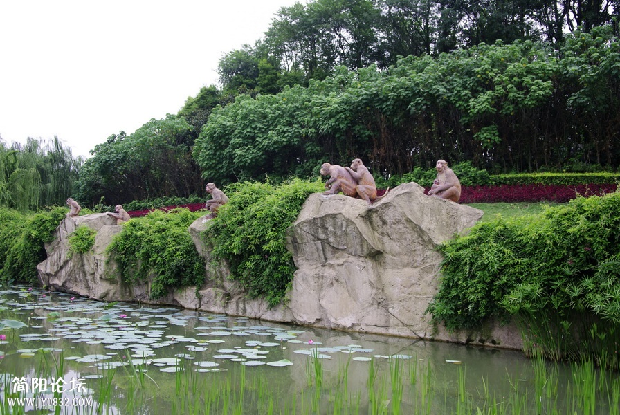 _IGP5437_副本_调整大小.jpg