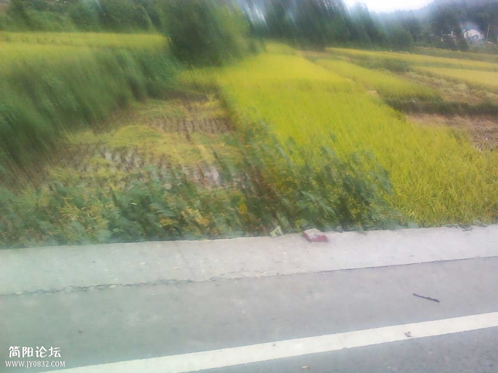 当时出事人。和车都从公路上掉田里面了