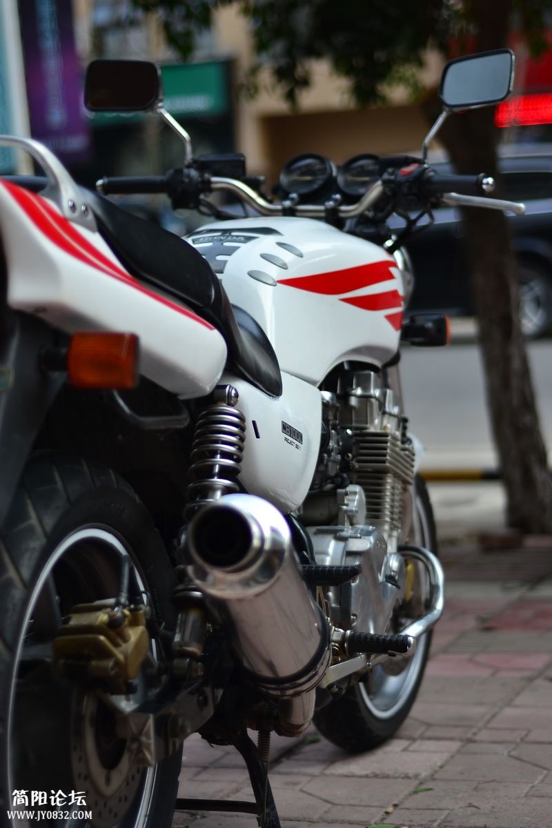 DSC_0431.jpg