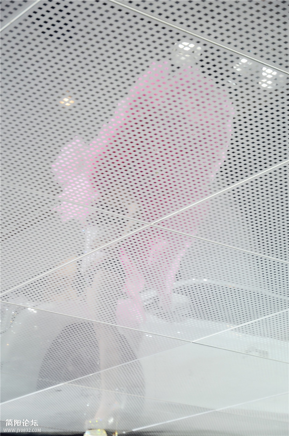 DSC_6969.jpg