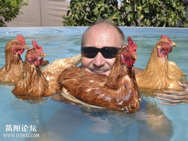 和爱鸡在一起的男人.jpg