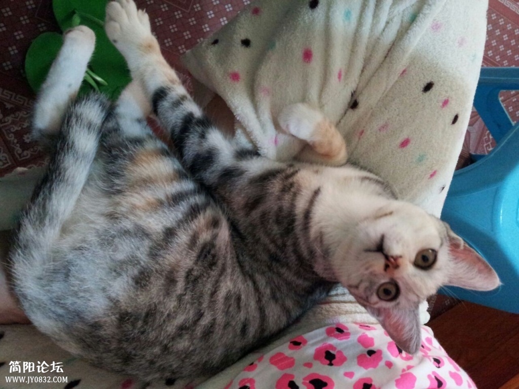 aaawwwwwwwwwwww.jpg