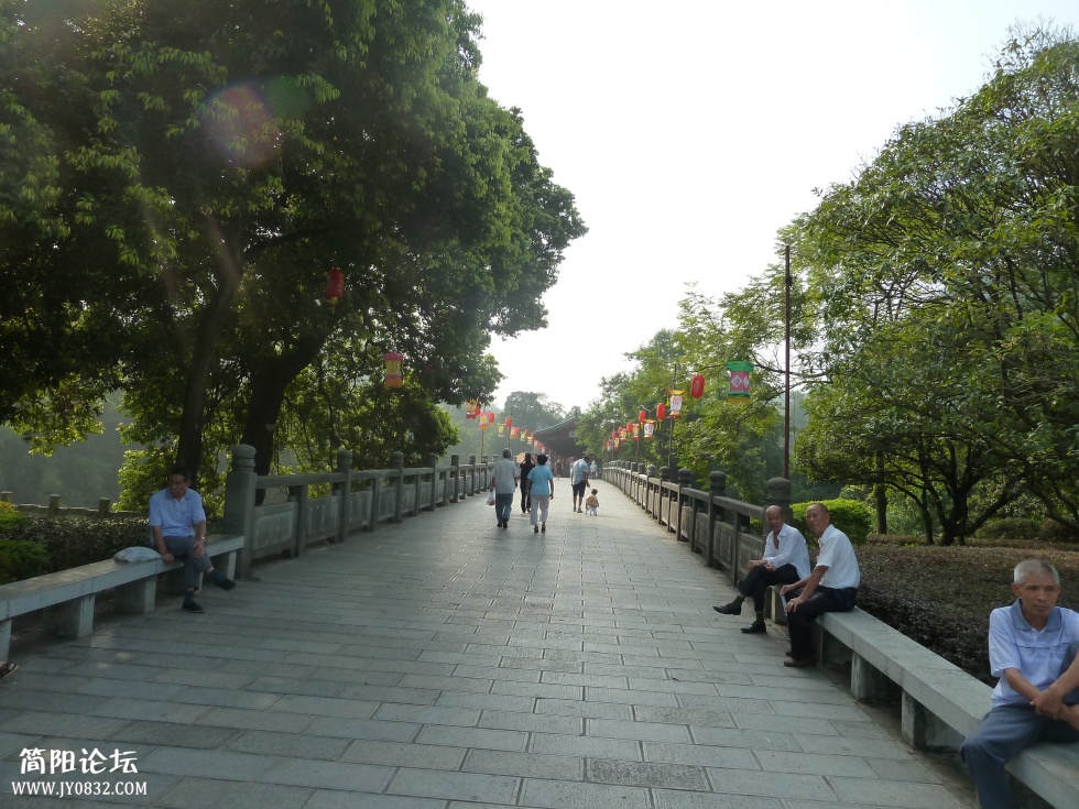 P1110173.jpg