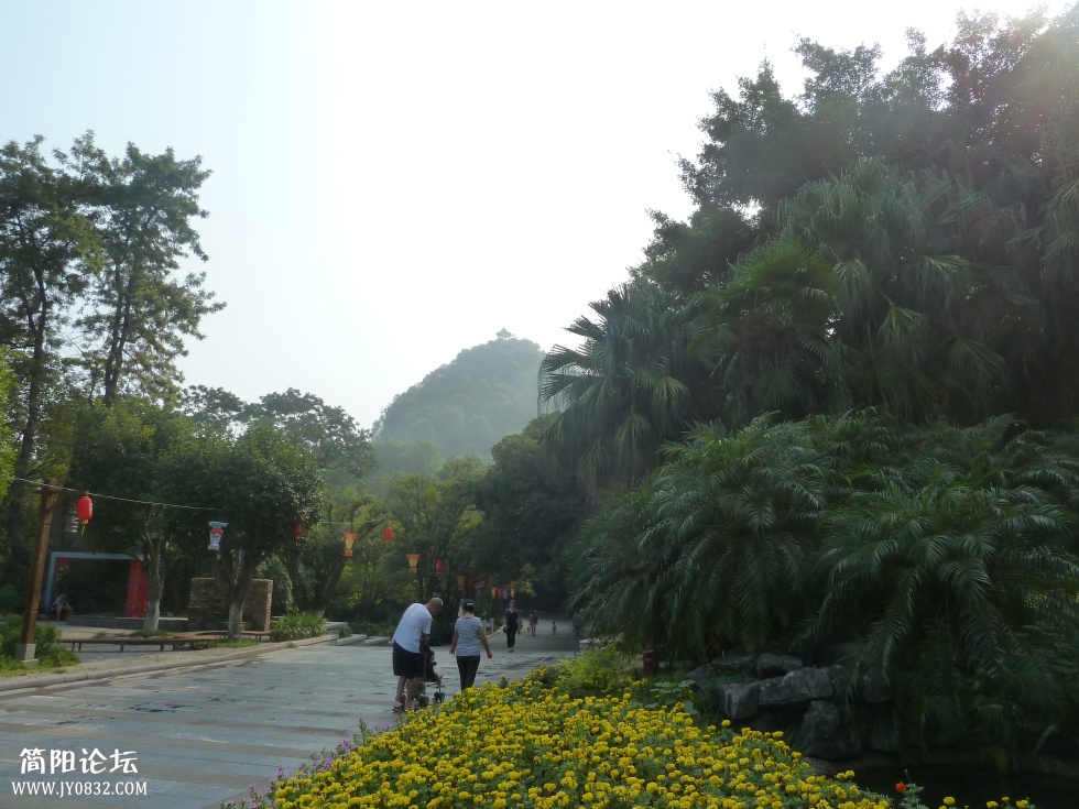 P1110184.jpg