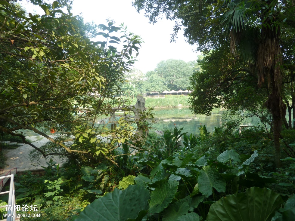 P1110190.jpg
