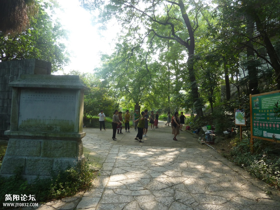 P1110193.jpg