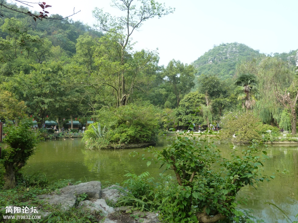 P1110211.jpg