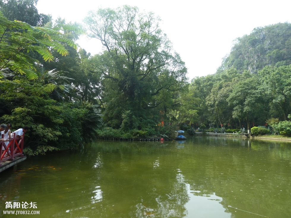 P1110221.jpg