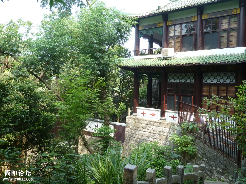 P1110251.jpg