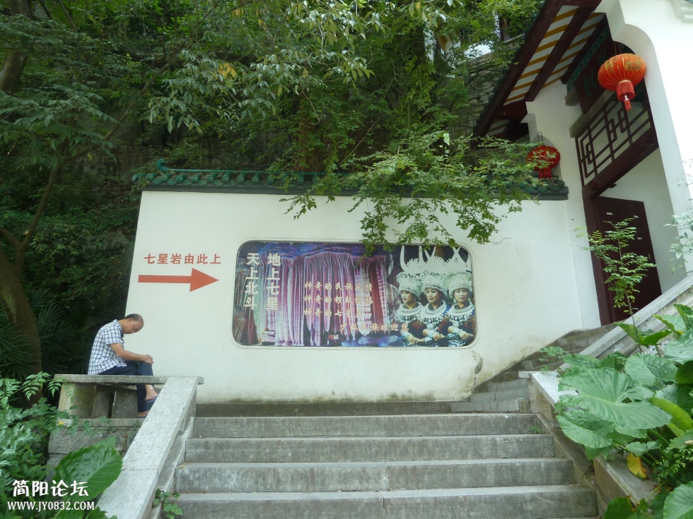 P1110262.jpg