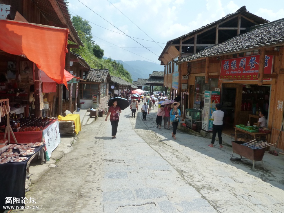 P1110390.jpg