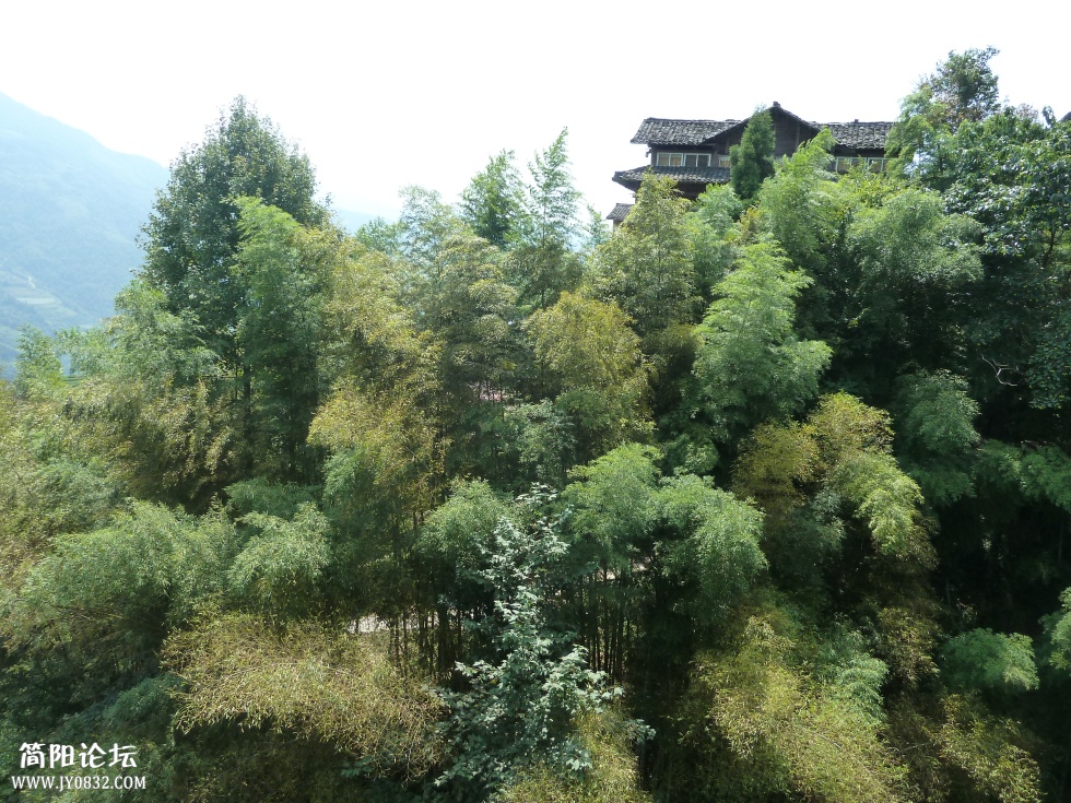 P1110410.jpg