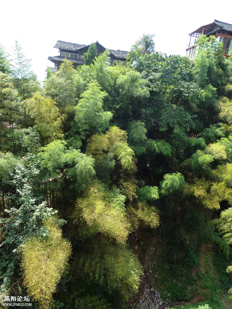 P1110411_副本.jpg