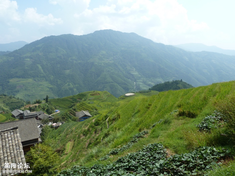 P1110427.jpg