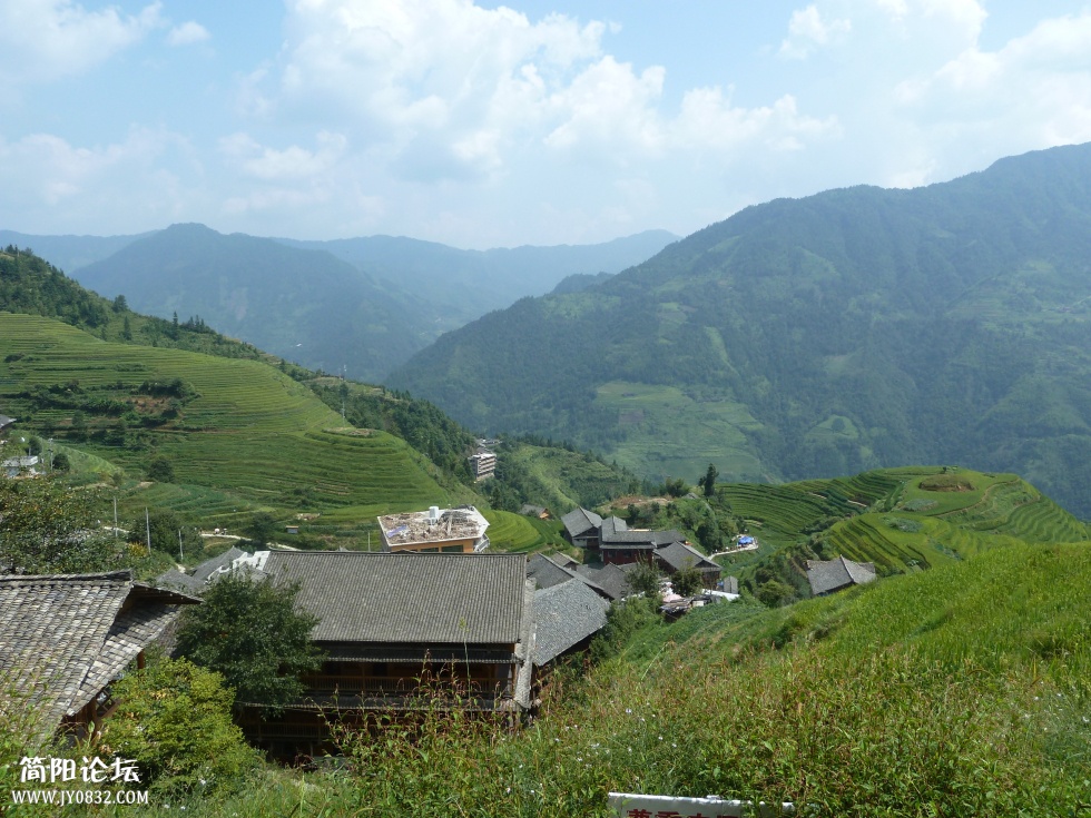 P1110430.jpg