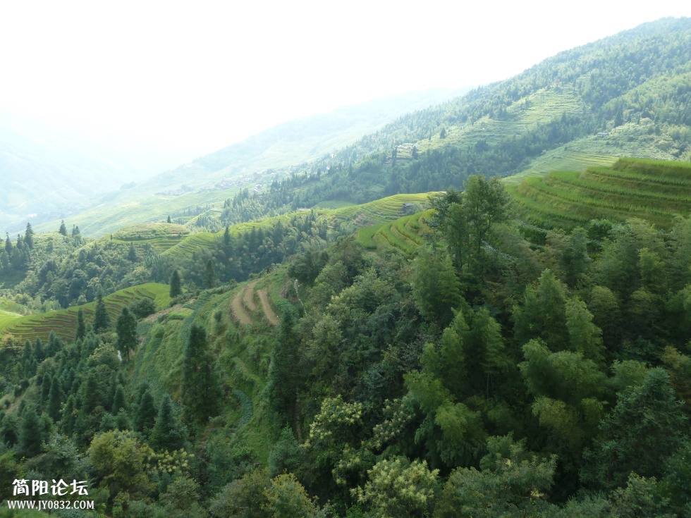P1110456.jpg
