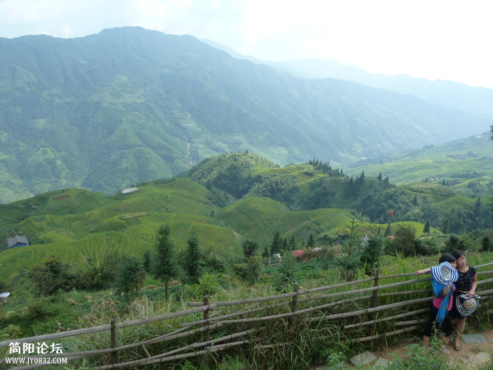 P1110463.jpg