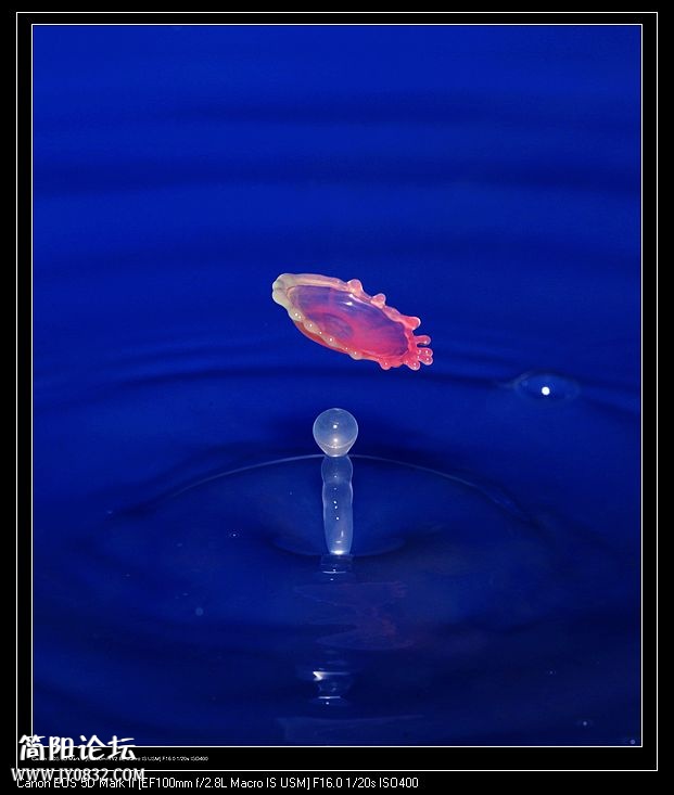 nEO_IMG_IMG_5092a.jpg