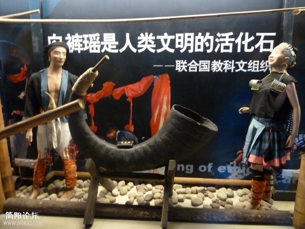 P1110524.jpg