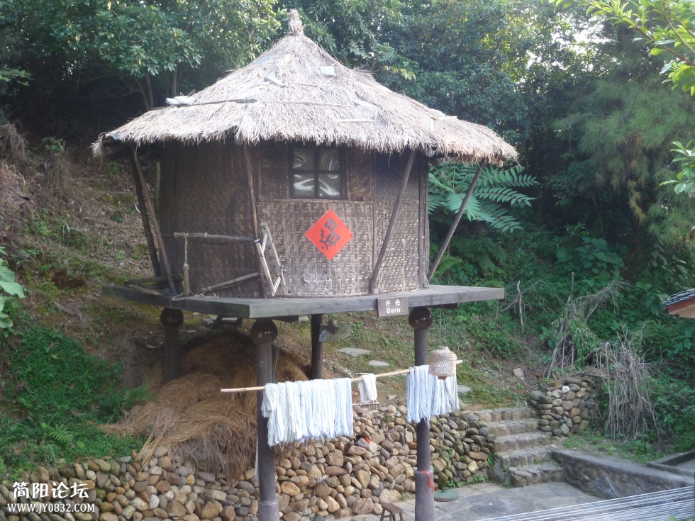P1110528.jpg