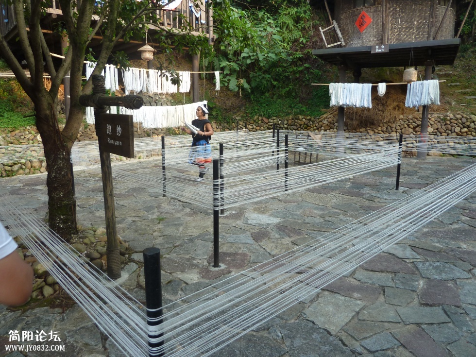 P1110527.jpg