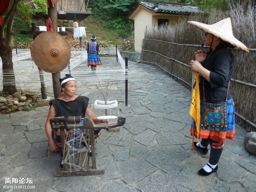 P1110526.jpg
