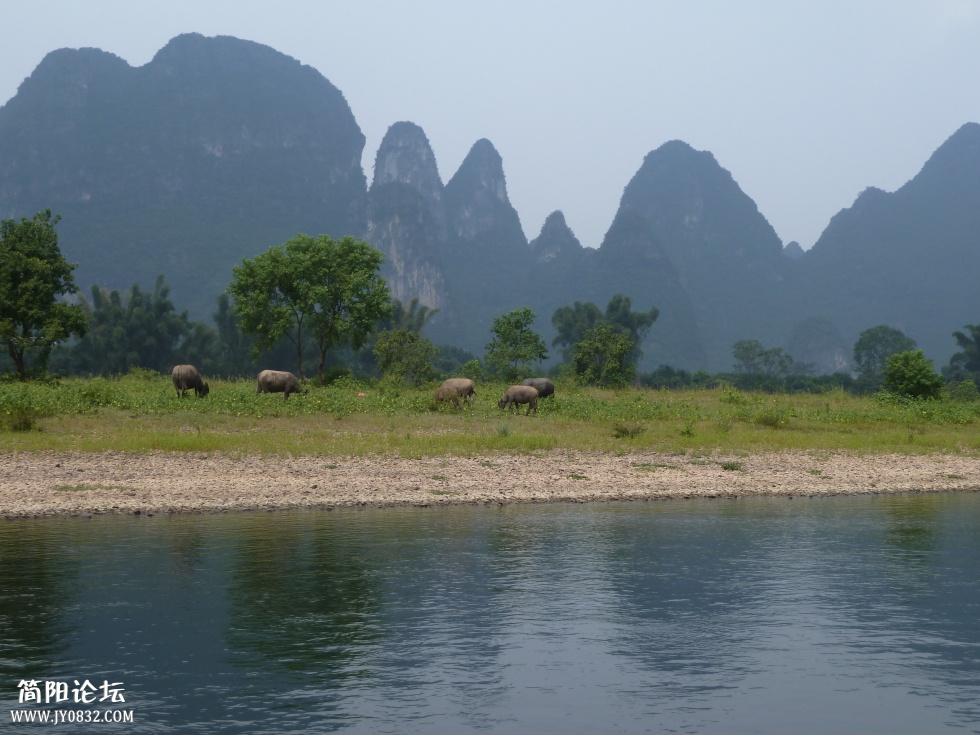 P1110654.jpg
