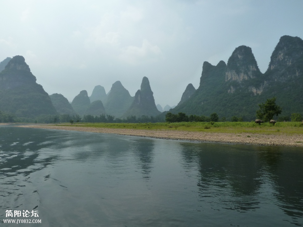 P1110656.jpg