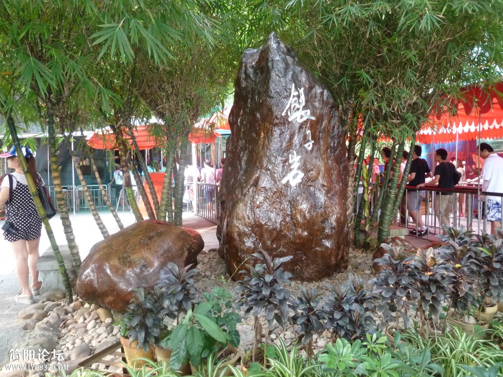 P1110665.jpg