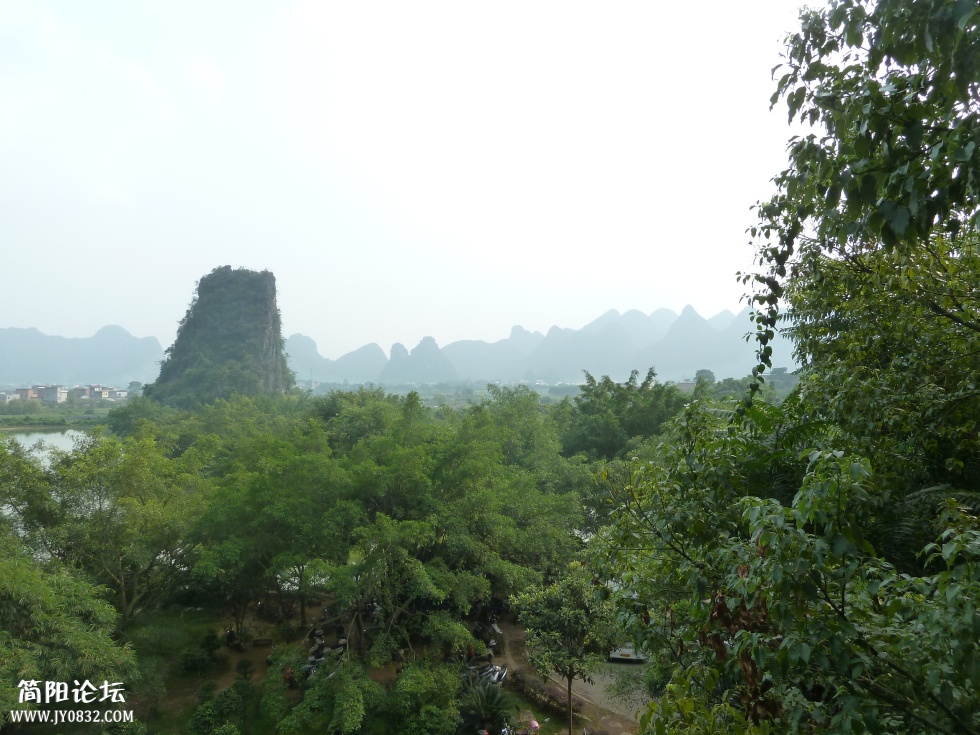 P1110663.jpg