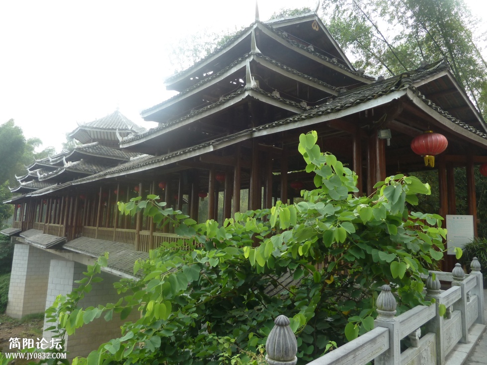 P1110734.jpg