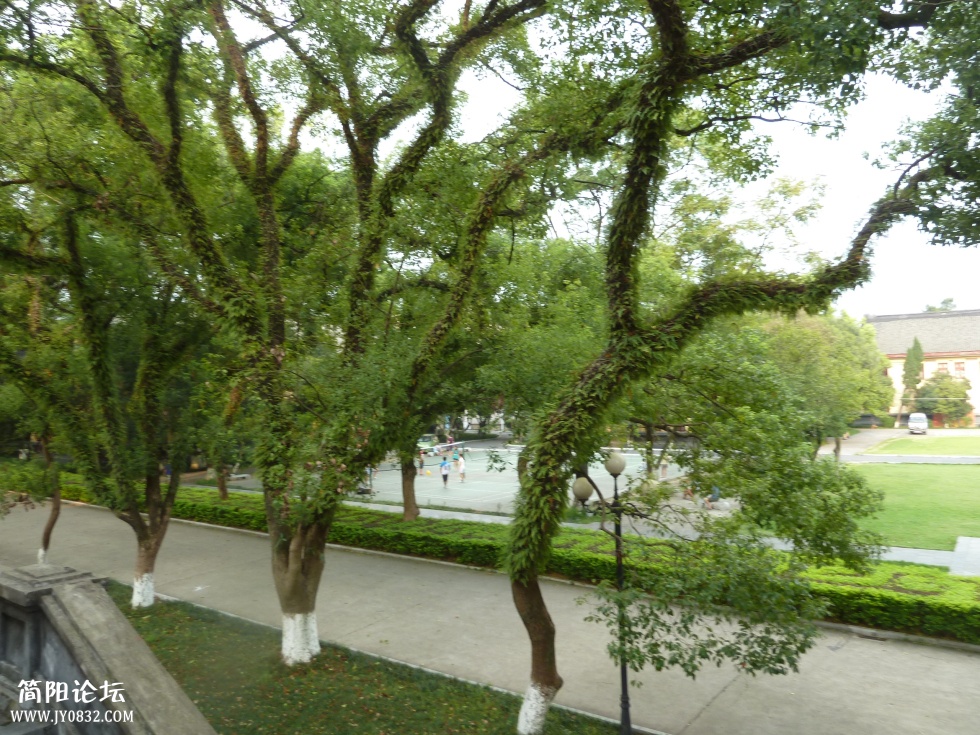 P1110877.jpg