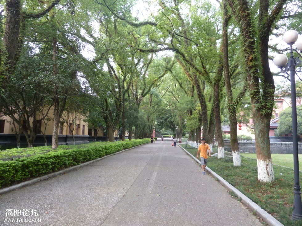 P1110881.jpg