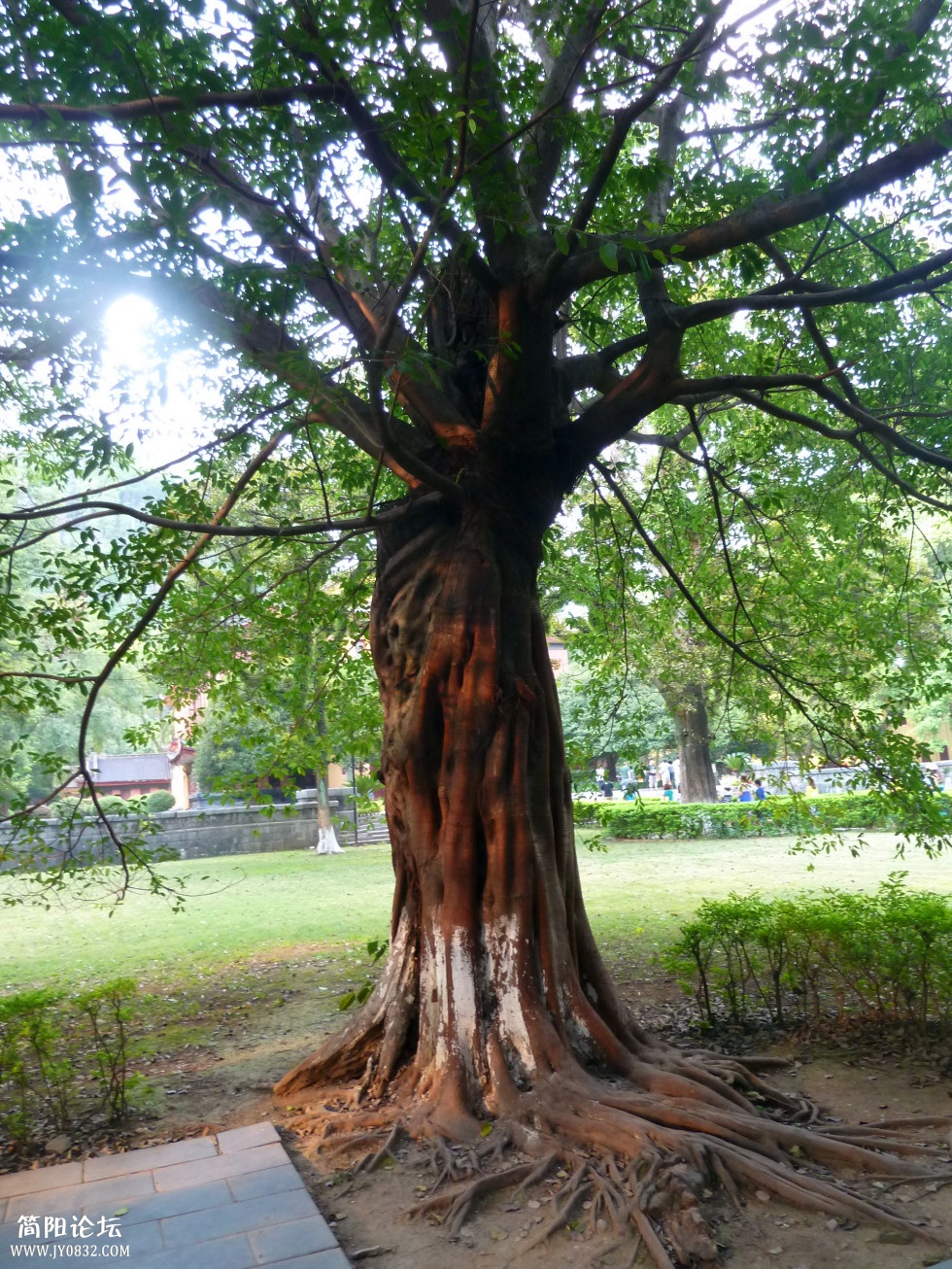 P1110879_副本.jpg