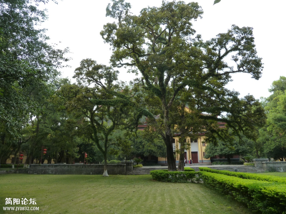 P1110883.jpg