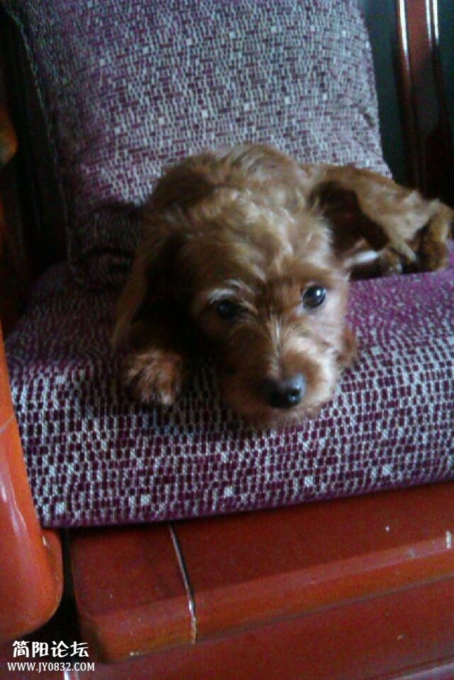 20130924-2.jpg
