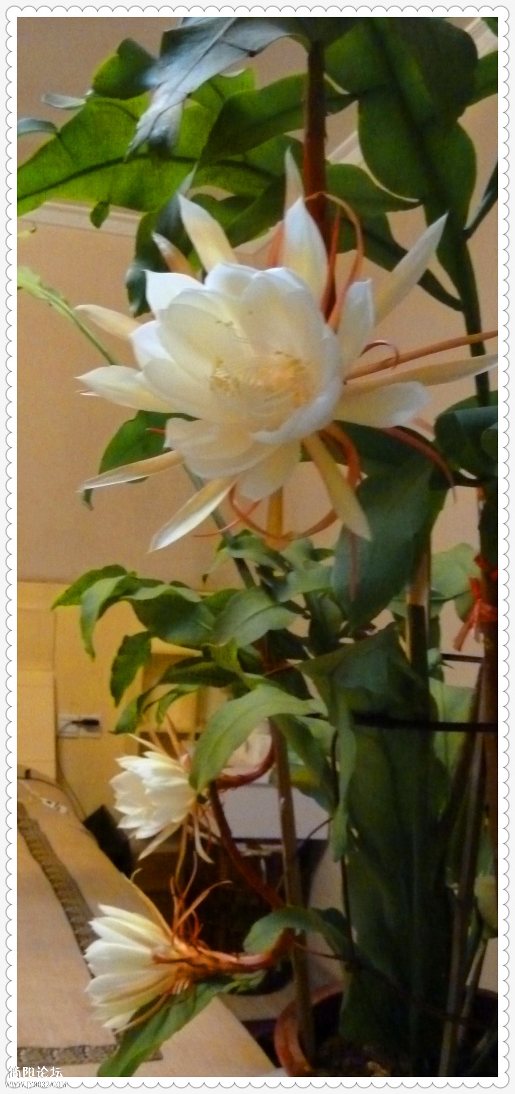 P1110940_副本.jpg