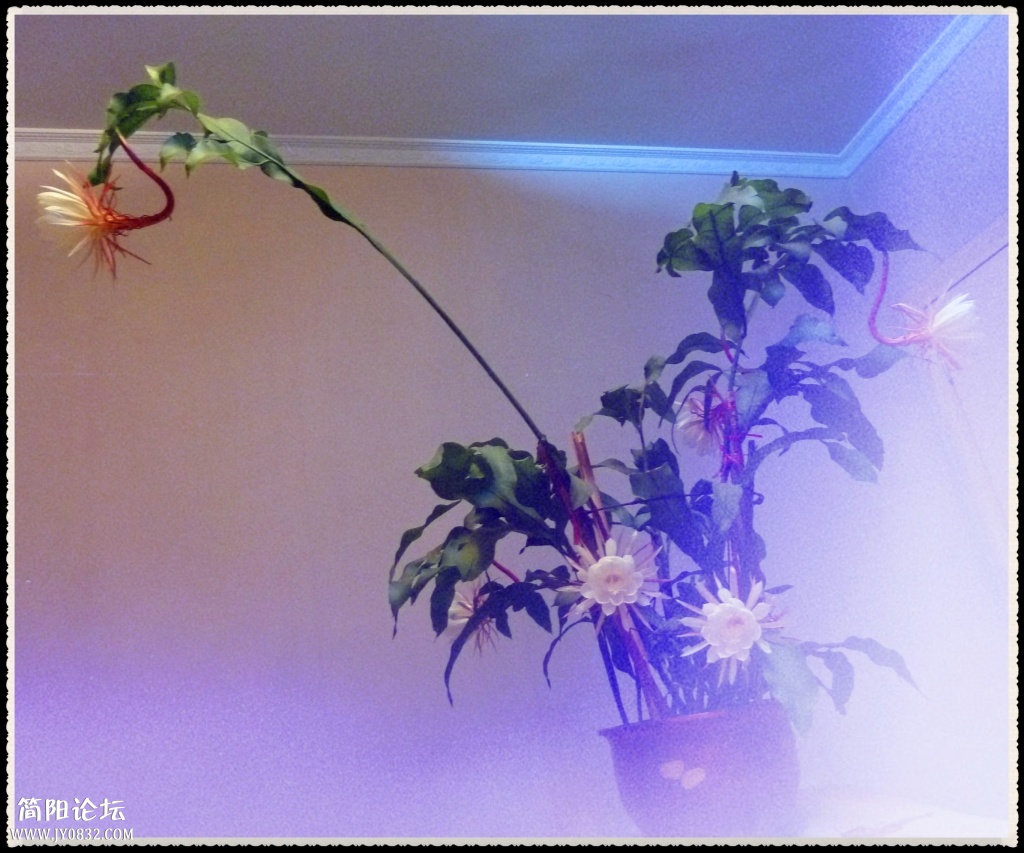 P1110960_副本.jpg