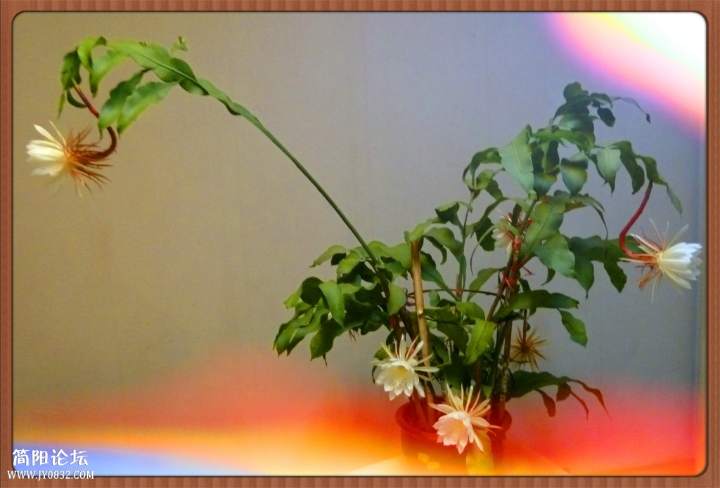 P1110987_副本.jpg
